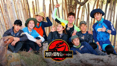 Law in the Jungle