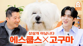 Dog Guest Show